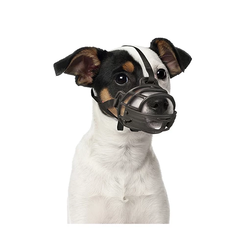 Duvo+ Kauçuk Köpek Ağızlığı Small - 3