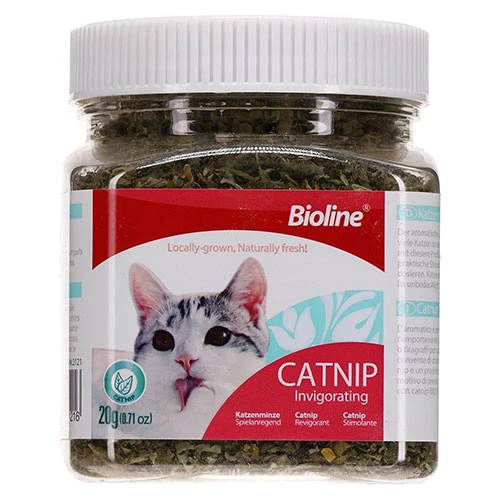 Bioline Catnip Kedi Otu 20 Gr