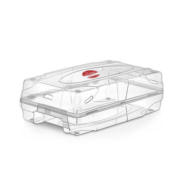 10'lu Kadın Ayakkabı Kutusu Şeffaf Hava Alan Ayakkabı Saklama Kutusu - 3