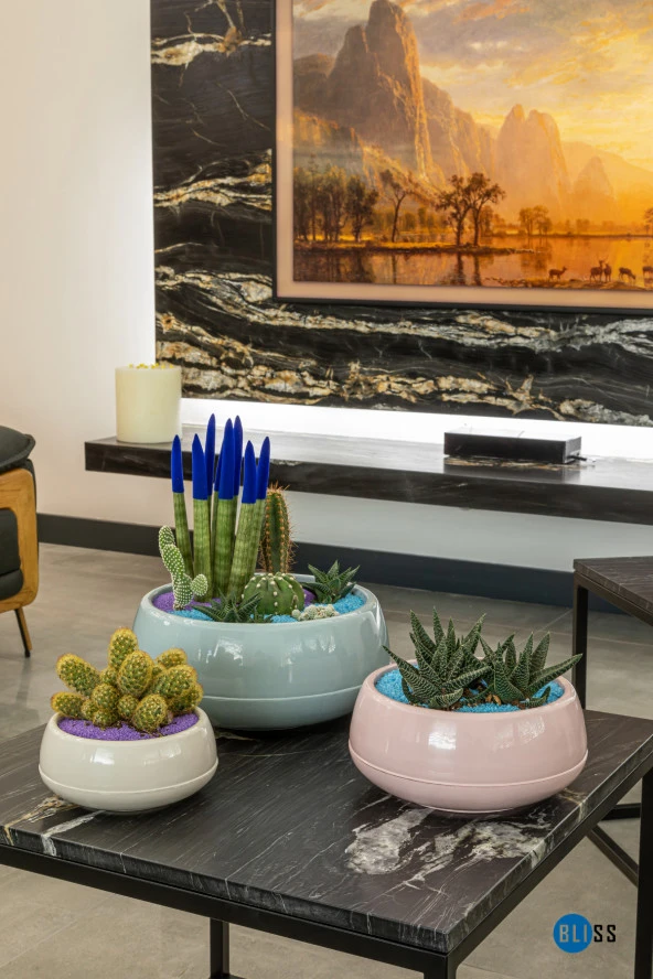 Aranjman Saksı 2 Litre Antrasit Menekşe Kaktüs Sukulent Saksısı Parlak Plastik - Resim 2