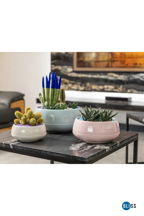 Elvan Aranjman Saksı 0,86 Litre Gök Mavi Menekşe Kaktüs Sukulent Saksısı Parlak Plastik - Resim 2