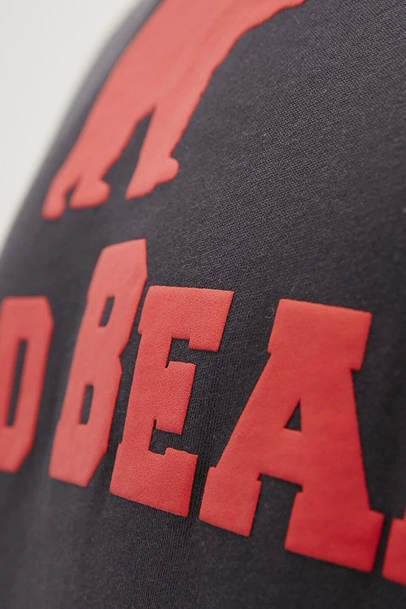 BAD BEAR ERKEK TEE  TİŞÖRT 19.01.07.002 - Resim 3