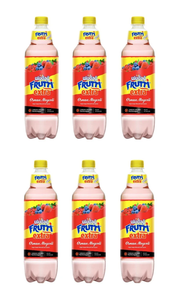 Uludağ Frutti Extra Orman Meyveli 1 Lt X 6 Adet