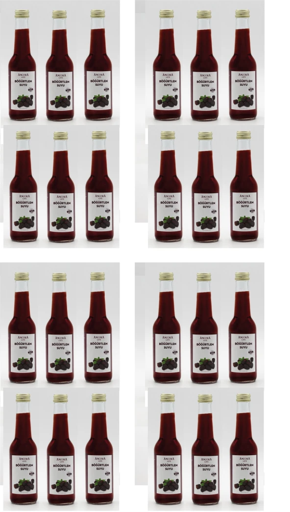 Ancora Sıkma Böğürtlen Suyu 250 Ml X 24 Adet