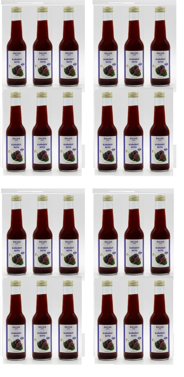 Ancora Sıkma Karadut Suyu 250 Ml X 24 Adet