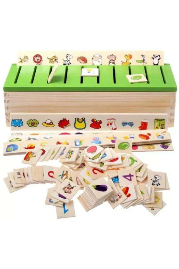 Ahşap Bilgi Sınıflandırma Kutusu Eğitici Ahşap Mazgal Oyuncak ürün görseli 1