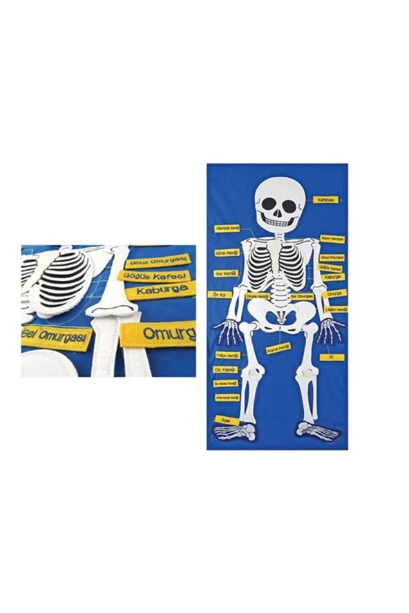 Cırtlı Kumaş Iskelet Pano ürün görseli 1