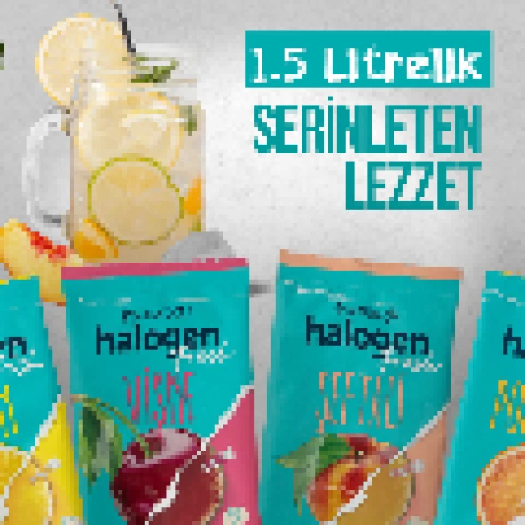 Halogen Meyveli Toz İçecek 4 Lezzet