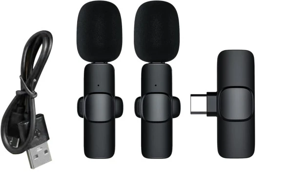 Type C Uyumlu Kablosuz Yaka Mikrofonu 2'Li Mini Youtube Tiktok Canlı Yayın Kayıt Mikrofonu - 2