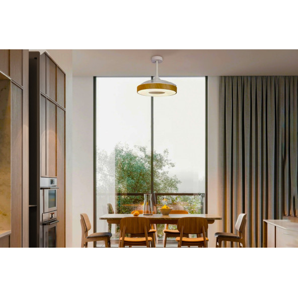 Orbus Uzaktan Kumandalı Tavan Vantilatörü 3000K - 6500K Işık ve Ayarlanabilir Fan Seviyeli VL5