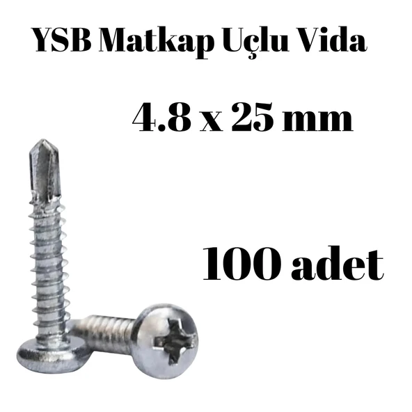 Yıldız Silindir Başlı 4.8x25 YSB Matkap Uçlu Akıllı Vida 100 Adet ürün görseli