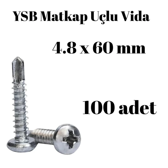 Yıldız Silindir Başlı 4.8x60 YSB Matkap Uçlu Akıllı Vida 100 Adet ürün görseli