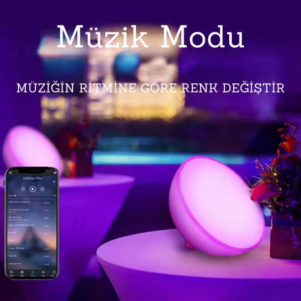 neeko Ambians GO Taşınabilir Şarjlı Smart Küre - 3