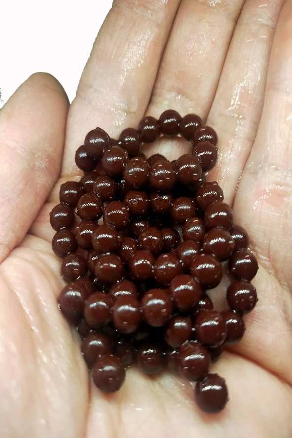 Renatbait Deniz ve Tatlı Su Levrek Çupra Alabalık  Kahverengi Silikon Yem Kokulu 6 mm (90 adet)