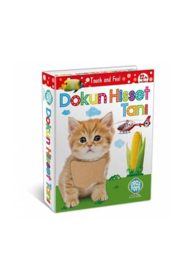 Çocuk Dokun Hisset Zeka Kartları