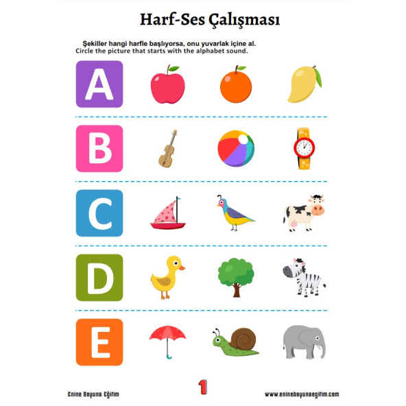 İngilizce Öğreten Set (Dijital Eğitim Seti) - 2