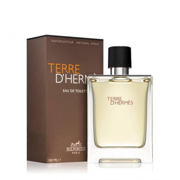 Hermes Terre D'Hermes EDT 100 ml Erkek Parfümü - 1