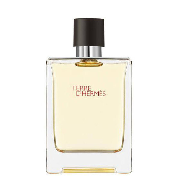 Hermes Terre D'Hermes EDT 100 ml Erkek Parfümü - 2
