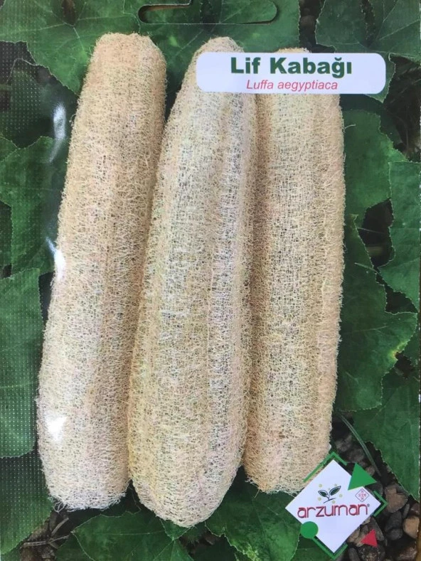 LİF KABAĞI TOHUMU 10 ADET TOHUM ürün görseli