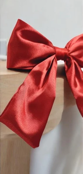 Saten Fiyonklu Okul Tokası - 5