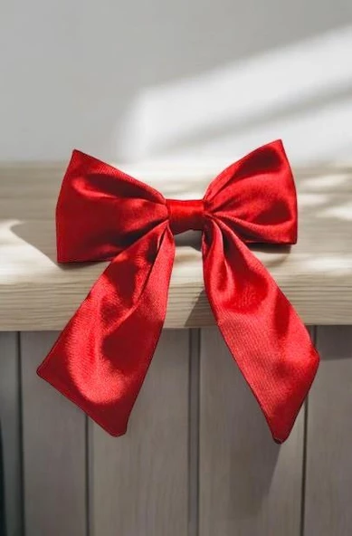 Saten Fiyonklu Okul Tokası - 3