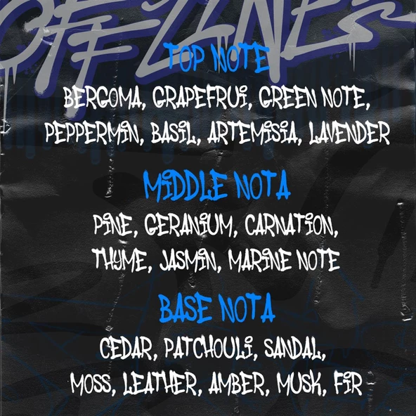 Offlıne Edp Erkek Parfüm 50 ML - Resim 4