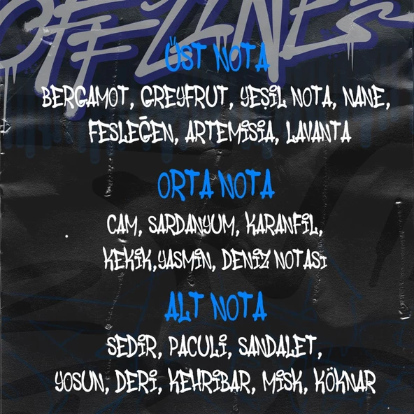 Offlıne Edp Erkek Parfüm 100 ML - Resim 4