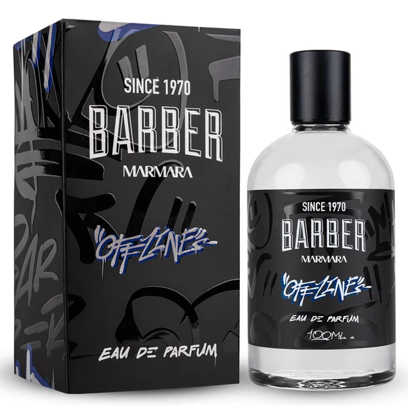 Offlıne Edp Erkek Parfüm 100 ML - Resim 2