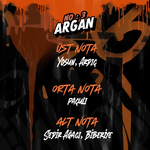 No.3 Argan Çift Fazlı Fön Suyu 500 ml - Resim 4