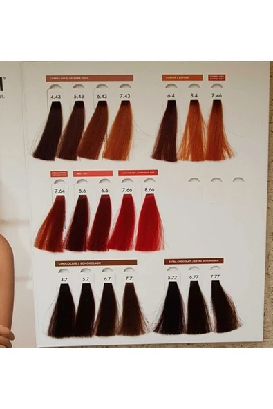 The Passion Smart Boya 8/66 Açık Kumral Yoğun Kızıl 60ml - Resim 5