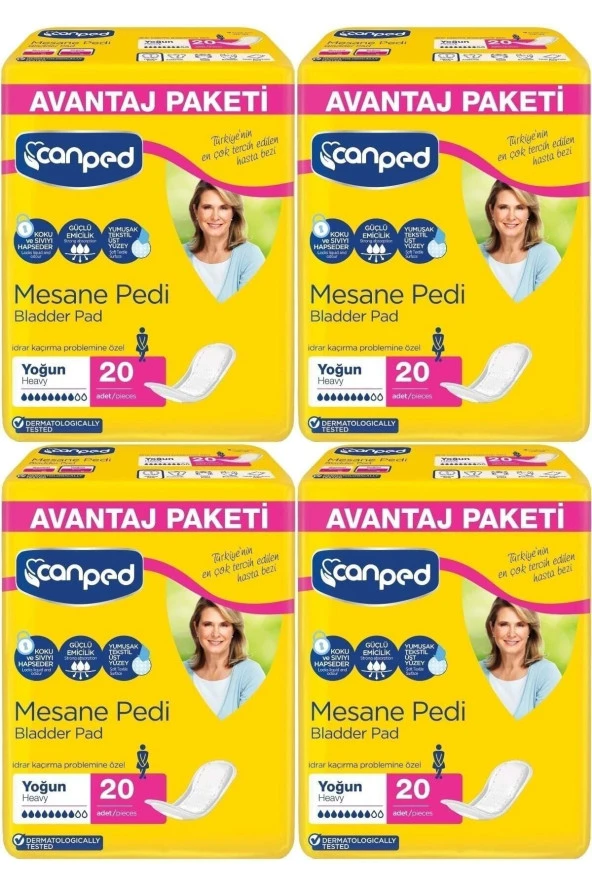 CANPED Mesane Pedi Avantaj Paket Klasik L-Büyük Boy Yoğun 80 Adet