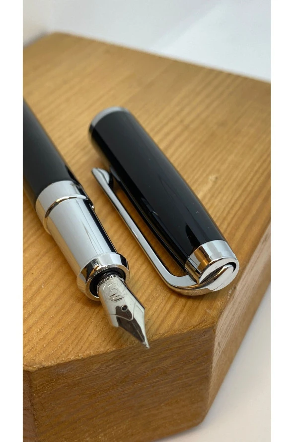 CROW FEATHER PIANO BLACK DOLMA KALEM - Resim 2