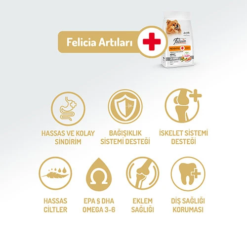 Felicia HypoAllergenic Small Mini Somonlu Küçük Irk Düşük Tahıllı Yetişkin Köpek Maması 6 Kg - Resim 2