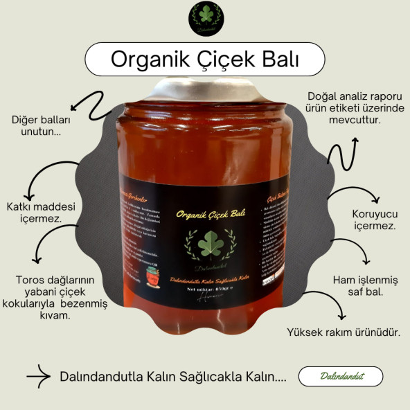 Dalındandut Yeni Mahsül Doğal Organik Çiçek Balı 850 gr - 2