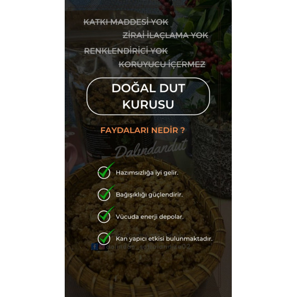 Yeni Mahsül Doğal Kurutulmuş Organik Dut Kurusu 500gr - 2