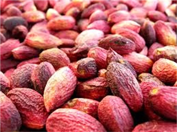 Gaziantep Pazarı Kabuklu Ben Fıstık 500 G