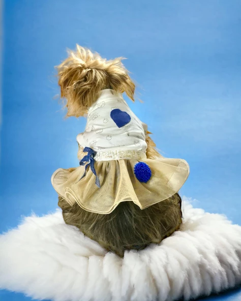 Navy Creamy Tütülü Köpek Elbisesi,  Kıyafeti Tutu - 7