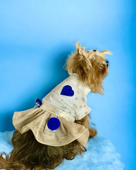 Navy Creamy Tütülü Köpek Elbisesi,  Kıyafeti Tutu - 5