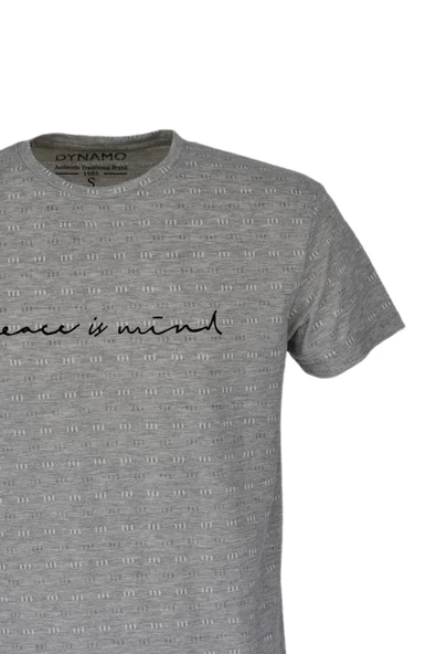 Erkek Sıfır Yaka Kıs Kol Tişört T179 BGL-ST03740 - Resim 6