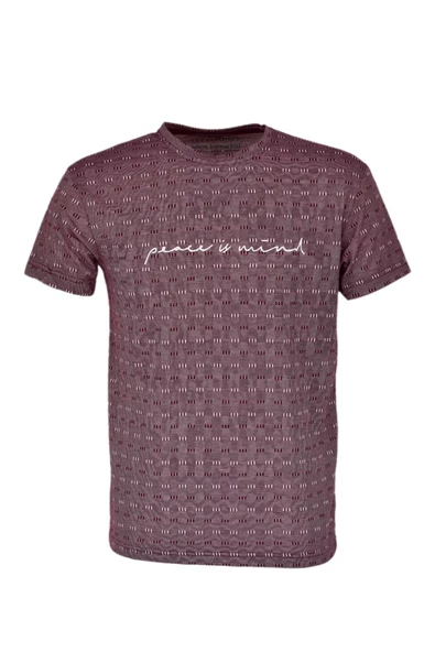 Erkek Sıfır Yaka Kıs Kol Tişört T179 BGL-ST03740 - Resim 2