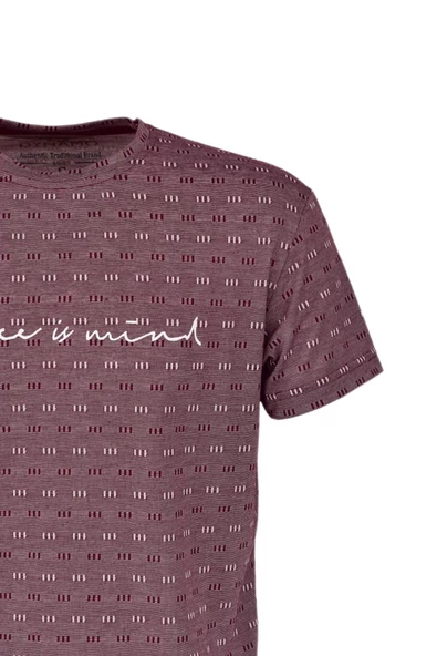 Erkek Sıfır Yaka Kıs Kol Tişört T179 BGL-ST03740 - Resim 8