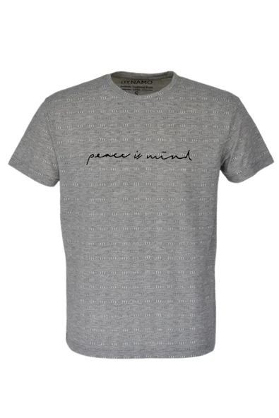 Erkek Sıfır Yaka Kıs Kol Tişört T179 BGL-ST03740 - Resim 3