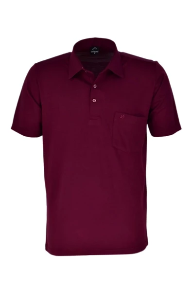 Erkek Gömlek Yaka Tişört BGL-ST03759 - 3