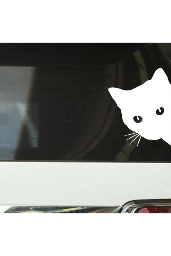 Kenardan Bakan Kedi Tasarımlı Oto Stickeri Beyaz 18*14 Cm