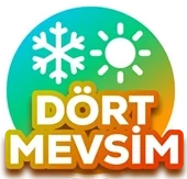 Nokian Tyres 225/45 R17 94V XL Seasonproof 1 Dört Mevsim (2025 Üretim) - Resim 4