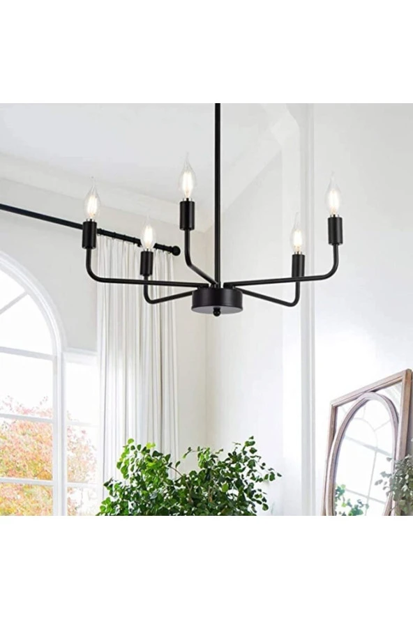 Livora Lighting Tuana 5 Li Siyah Modern Sarkıt Avize - 2
