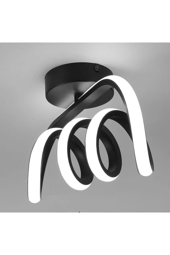 Livora Lighting Burgu Siyah Tavana Sıfır Beyaz Led Işıklı Avize - 3