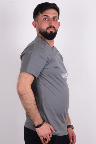 Cazador 24YCEEO04072 Gri Erkek Regular Fit Bisiklet Yaka Baskılı Normal Kesim Tşört - 2