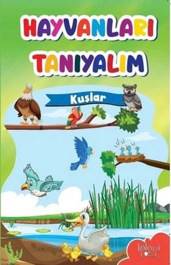 Muhteşem Çizimler ve Kolay Anlatım ile Hayvanları Tanıyalım Kuşlar