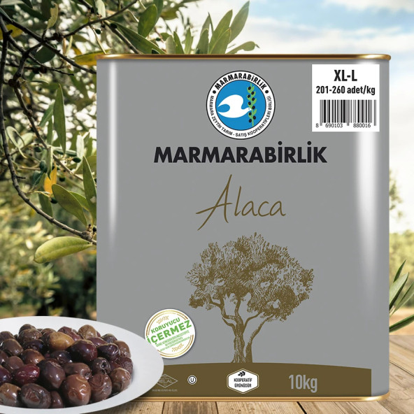 Marmarabirlik Alaca XL-L 201-260 KB Doğal Siyah Zeytin 10 kğ